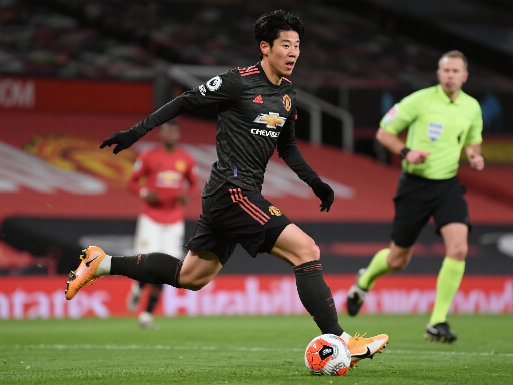 无疑为新手 无疑为新手